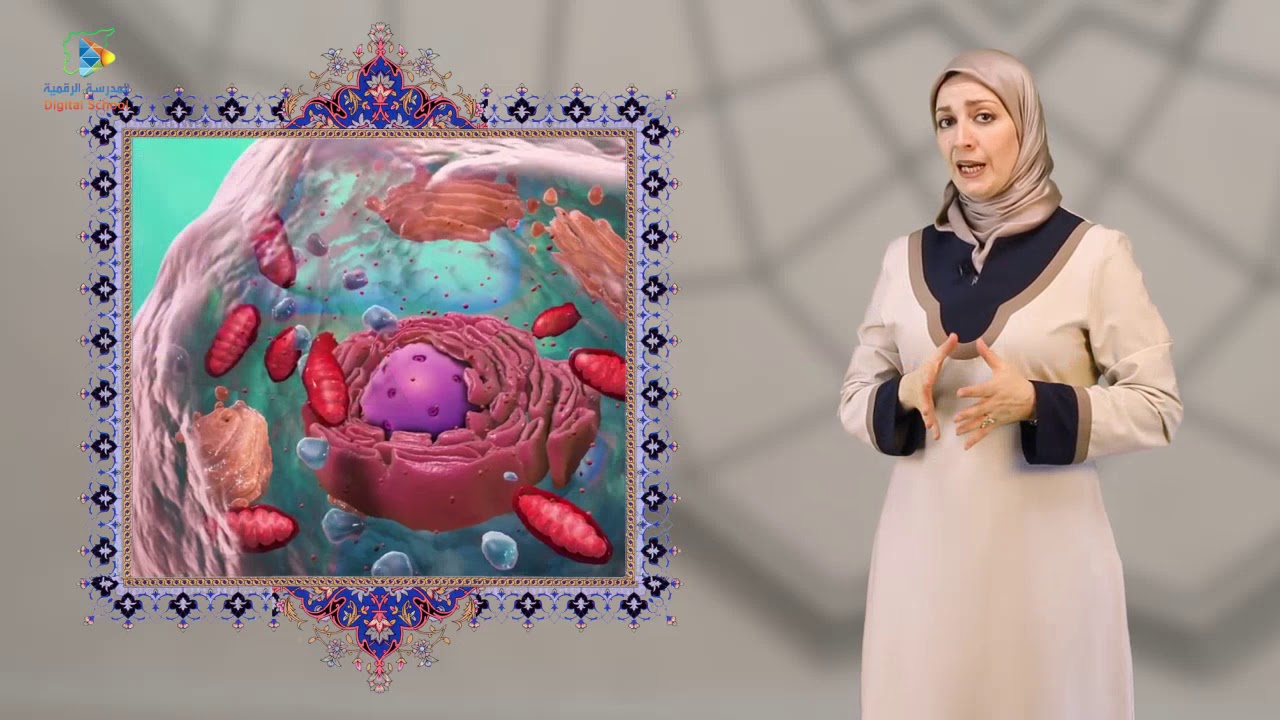 29 إنسان روسوم الآلي