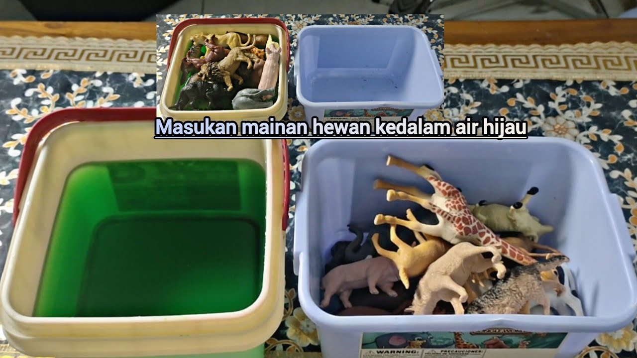 MASUKAN MAINAN HEWAN KEDALAM AIR HIJAU‼️