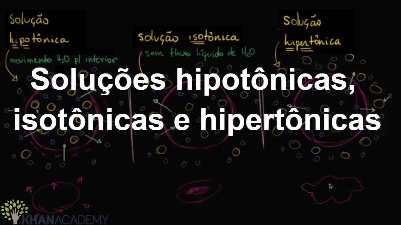 Soluções hipotônicas, isotônicas e hipertônicas | Membranas e transporte | Biologia | Khan Academy