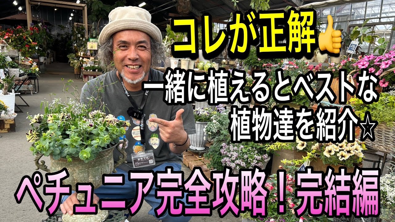 ペチュニア第二弾！春〜夏の人気のお花＆植物と相性バツグンの仲間達を紹介！リーフがペチュニアを引き立てる♡おしゃれガーデニング(園芸)