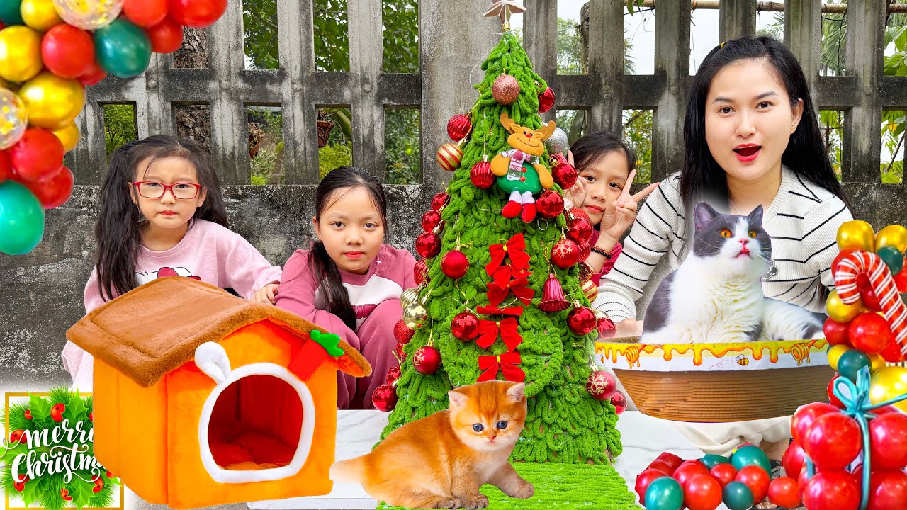 Cam Cam thiết kế nhà hình cây thông noel cho con mèo, con chó, trang trí nhà cho thú cưng