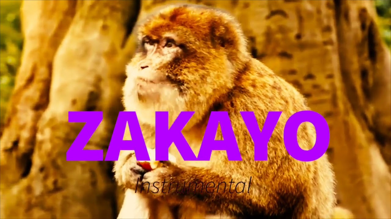 Zakayo - King Saha X Allan Hendrik Instrumental