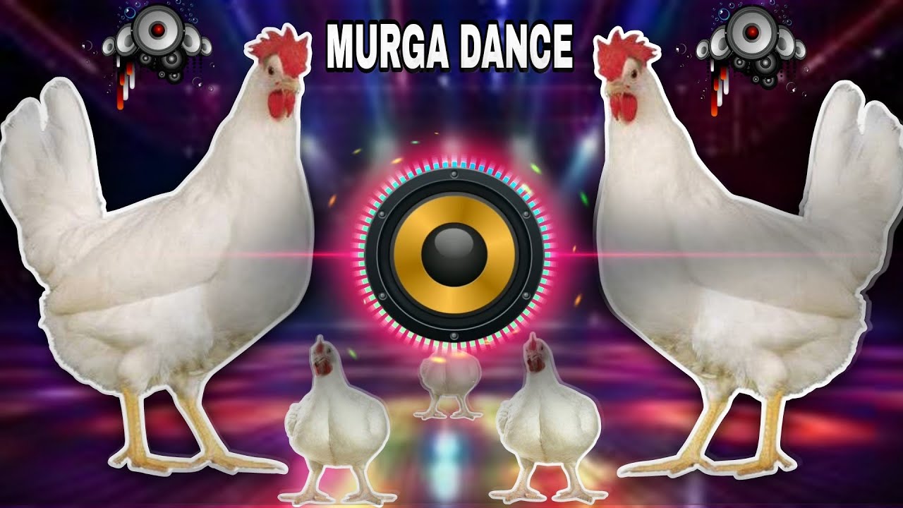 Murga Dj Song| Murga Dance Song | Ku Ku Ku Song| Murga Song Dj Mix JBL Baas Murga Dance Dj Mix Song