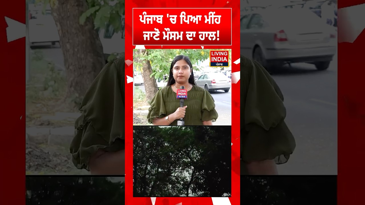 ਪੰਜਾਬ 'ਚ ਪਿਆ ਮੀਂਹ, ਜਾਣੋ ਮੌਸਮ ਦਾ ਹਾਲ! Rain In Punjab | Punjab Weather