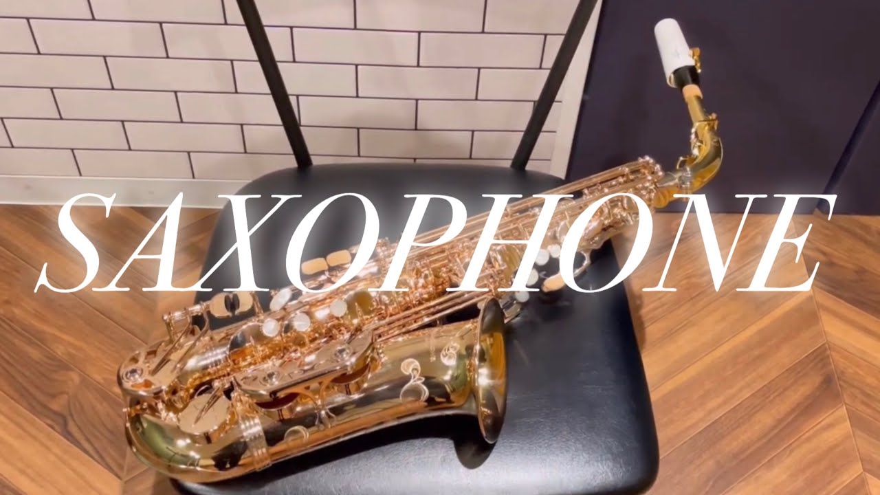 【SAXOPHONE】 私のサクソフォン紹介とヤナギサワクロッシュ / Introduction my saxophone and Yanagisawa Croche