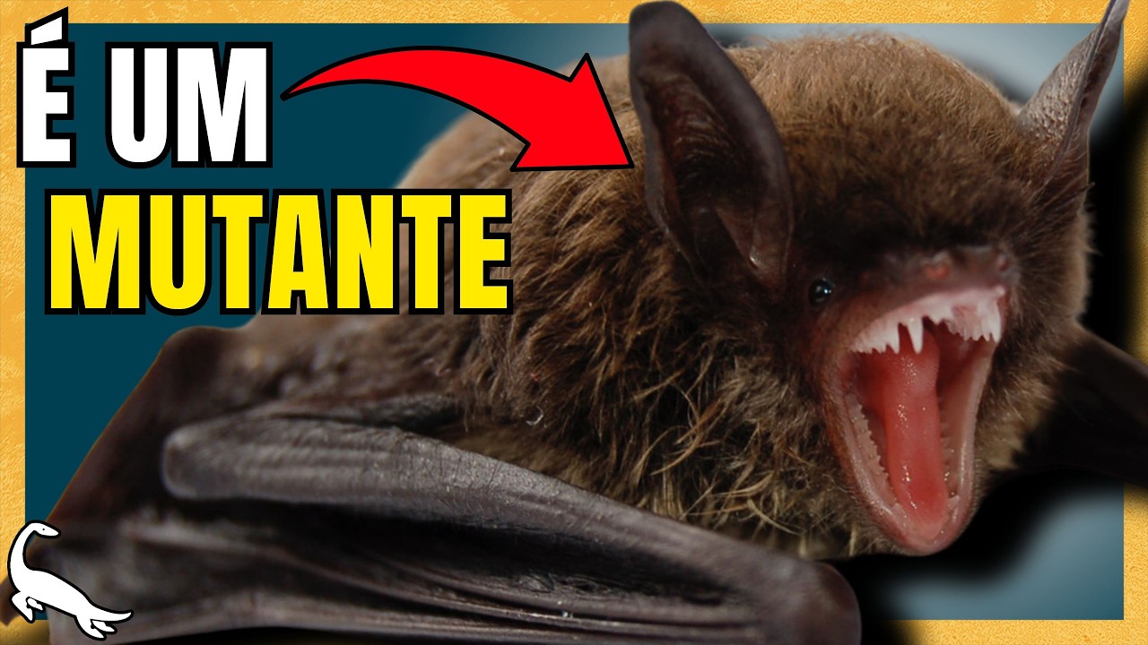 A ORIGEM E EVOLU&Ccedil;&Atilde;O DOS MORCEGOS VAMPIROS
