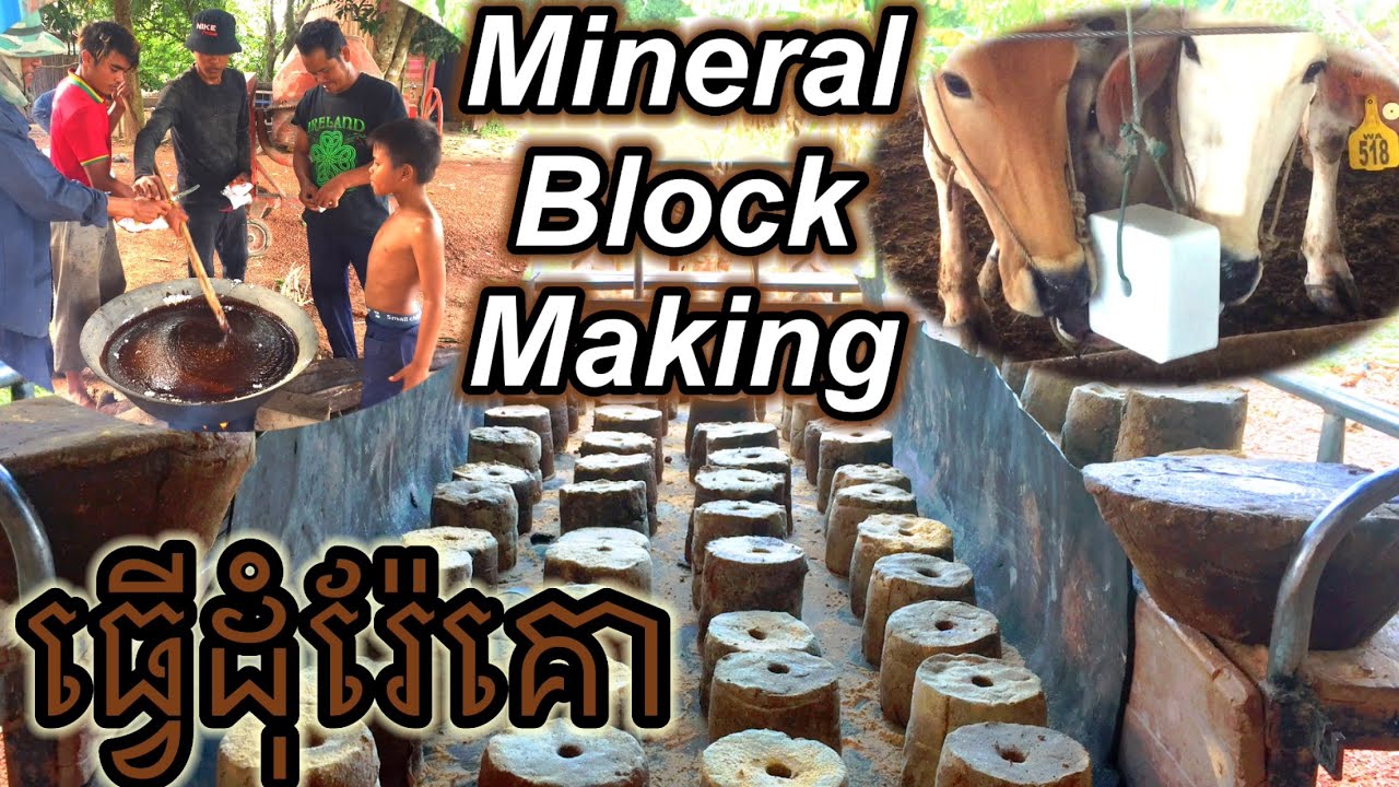 How to Make Mineral Block Making for Cow.