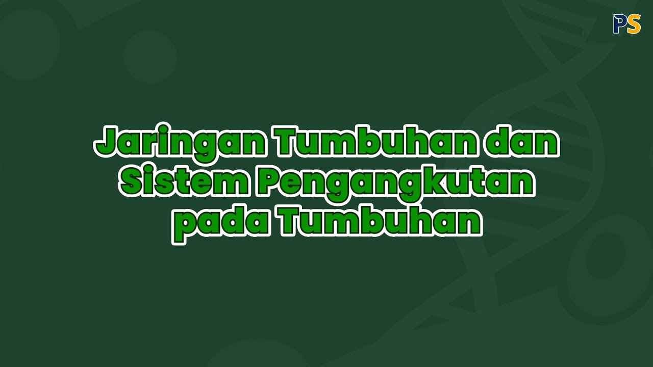 Biologi Kelas 11: Macam-Macam Jaringan pada Tumbuhan dan Pengangkutan pada Tumbuhan