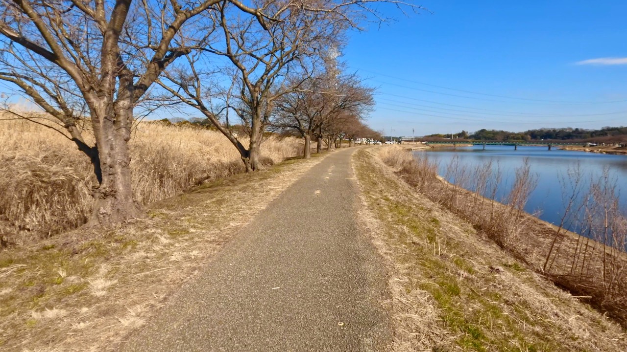 A Calm Walk Along Inba Shinkawa River, Japan | Quiet Riverside POV