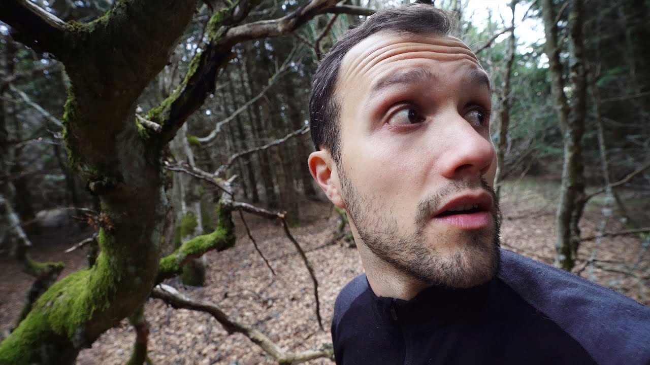 DORMIR DANS LA FORÊT DE LA BÊTE DU GÉVAUDAN