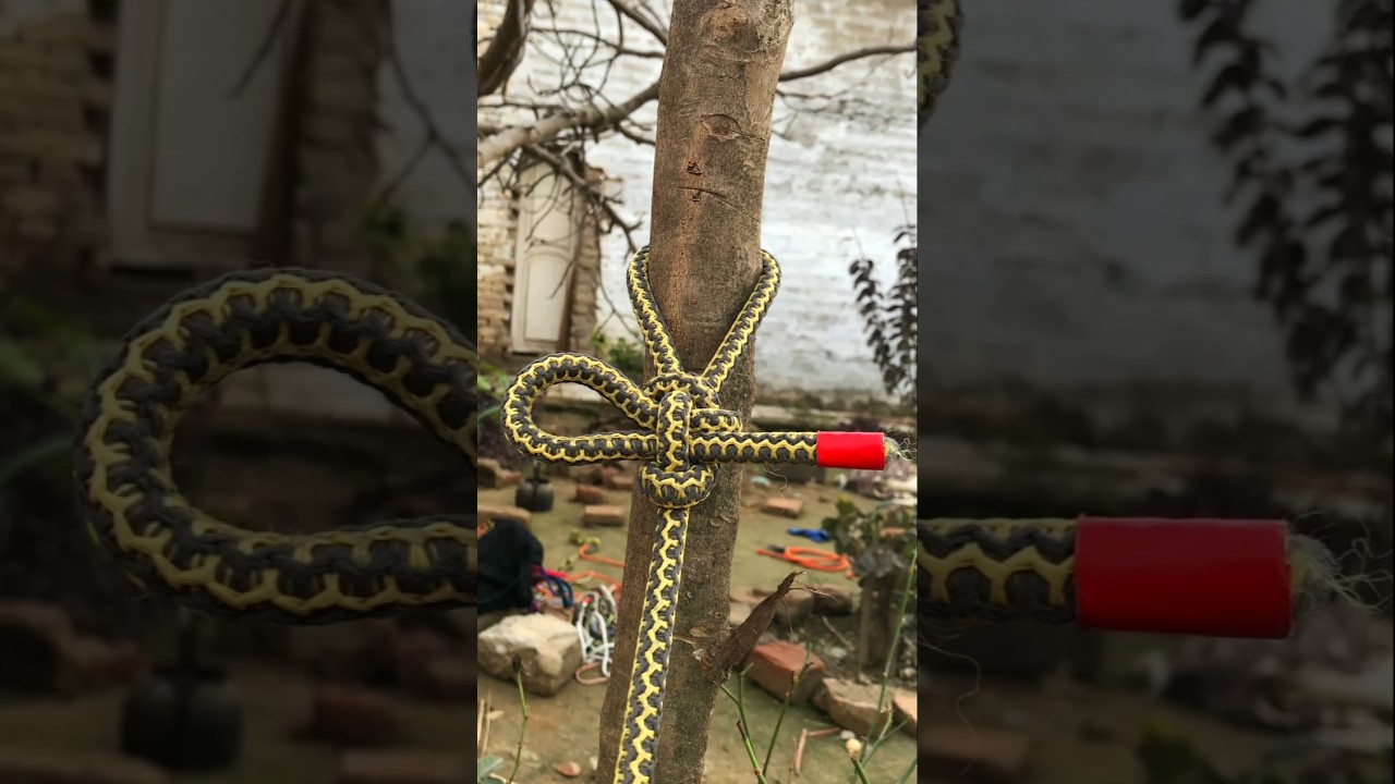 Unbreakable Rope Knot for Trees!#knot #knottutorial 👍