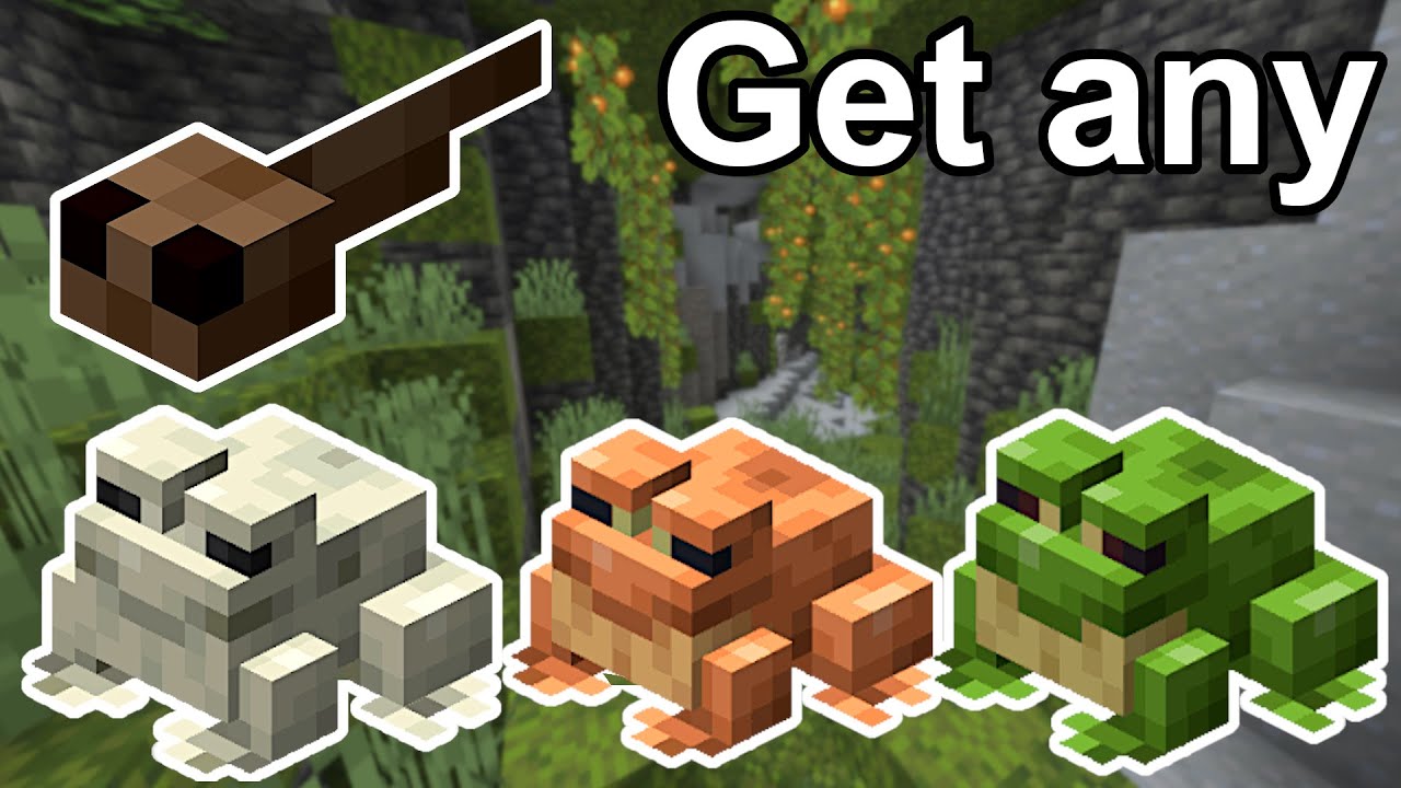 How to get diferent colour Frogs | Minecraft 1.21+