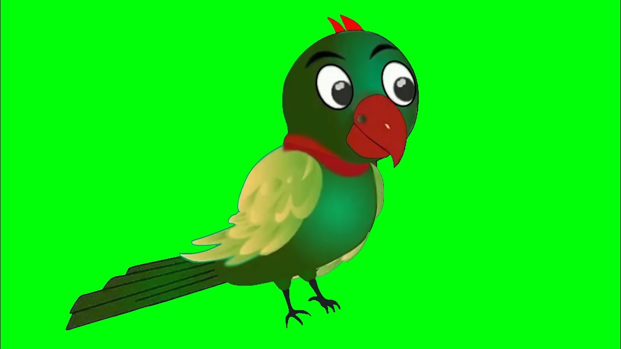 Talking tota in green screen/parit in green screen