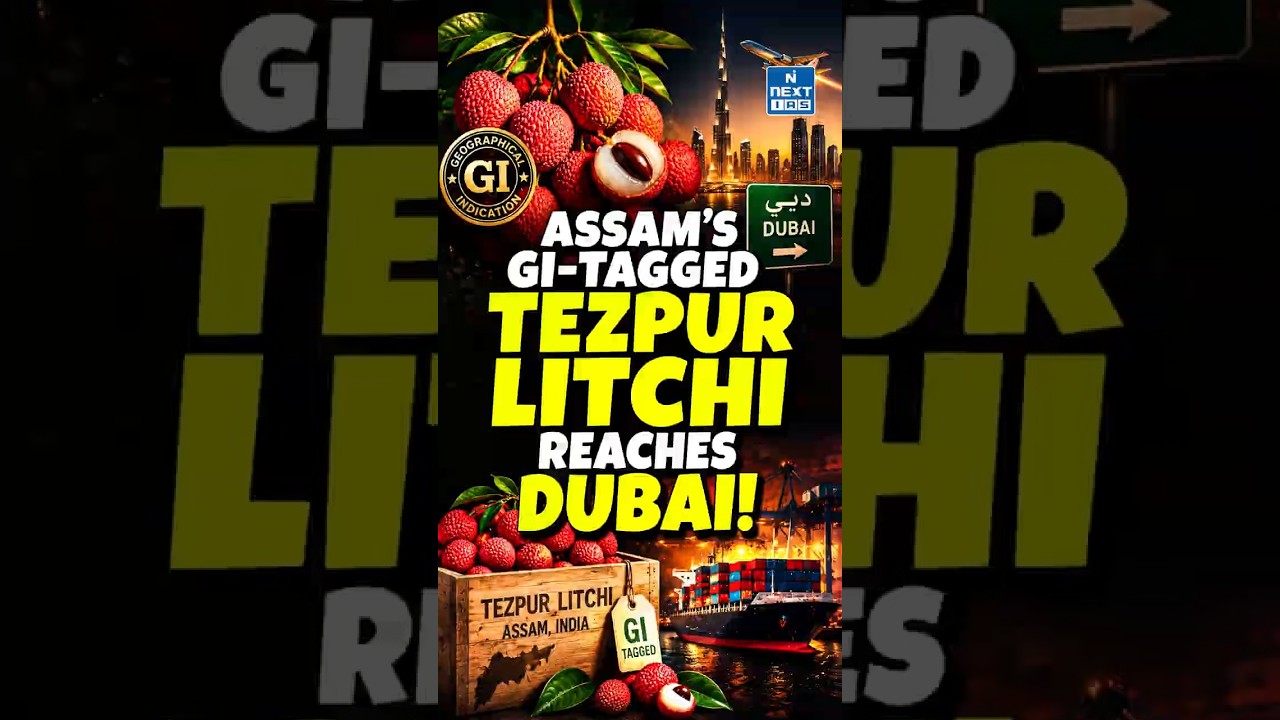 Assam&rsquo;s GI-Tagged Tezpur Litchi Reaches Dubai for the First Time! | GI Tag Explained | NEXT IAS