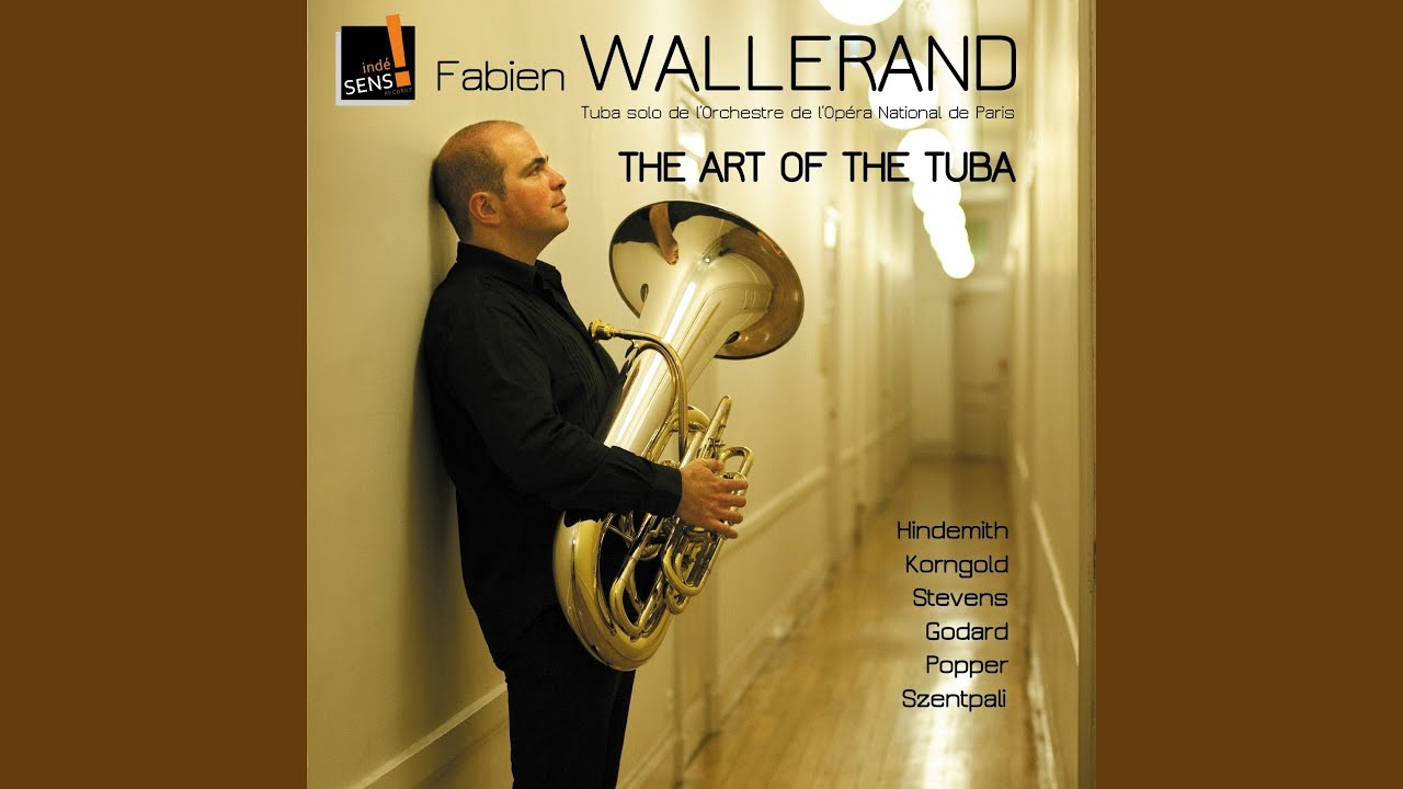 Parallels for Tuba and Piano: I. Allegro