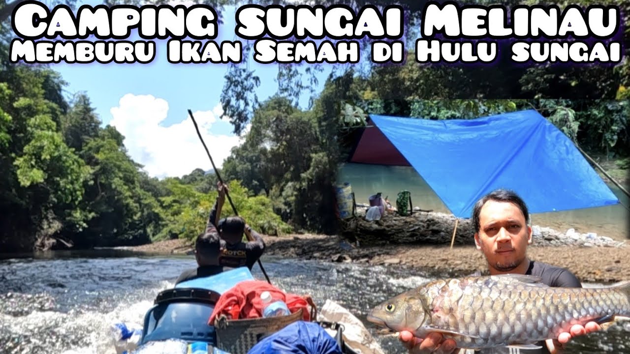 Petualangan Camping Fishing ke Hulu Sungai Melinau 2 Hari 1 Malam Part 2