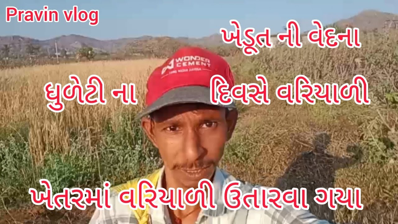 ખેડૂતની વેદના ધુળેટીના દિવસે ખેતરમાં વરિયાળી ઉતારવા ગયા #kedutan #kedut #vlog #vlogvideo 