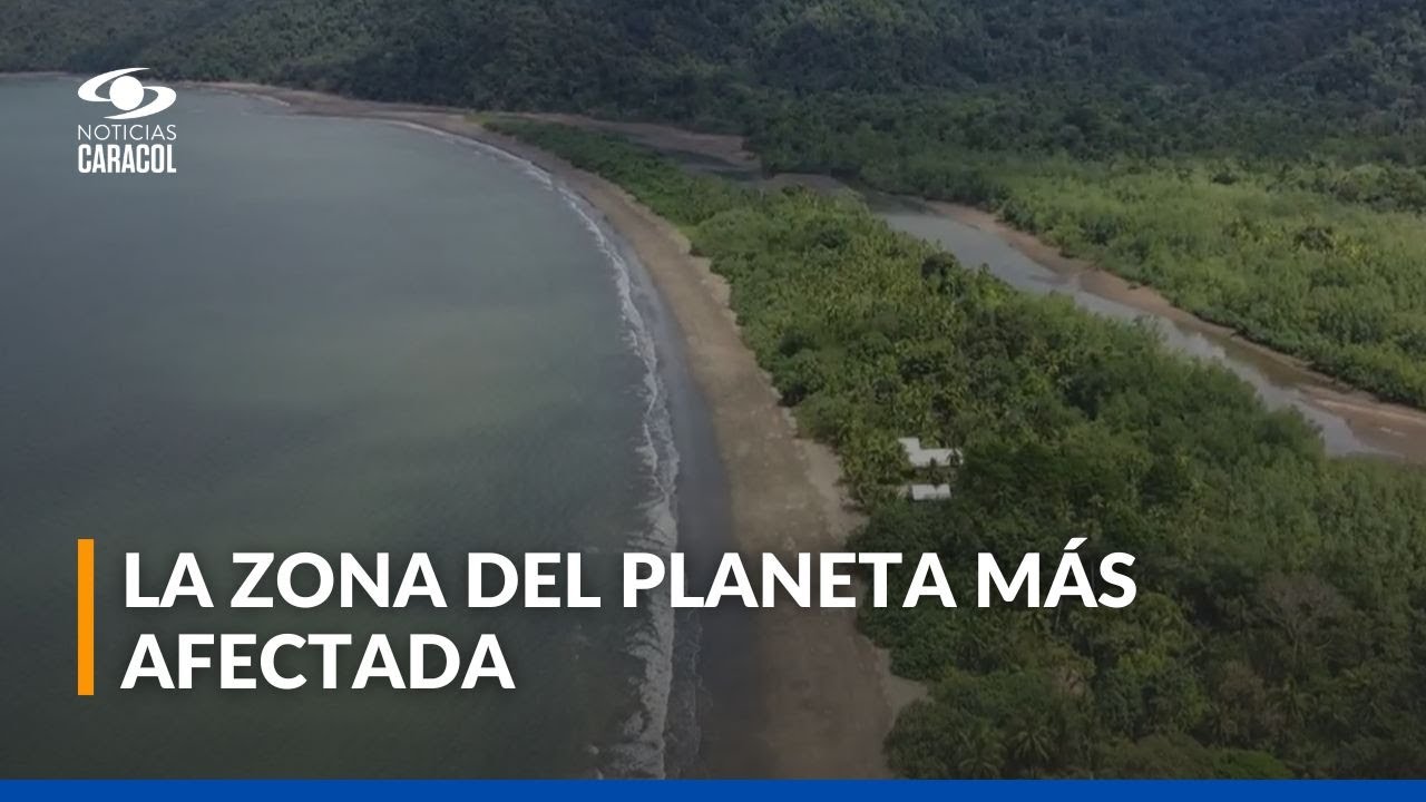 Biodiversidad de Am&eacute;rica Latina y el Caribe est&aacute; en riesgo, advierte informe