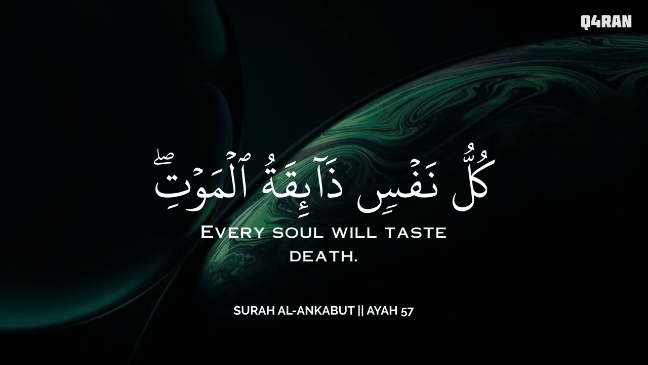 ساعة كاملة🕛🎧 | تلاوة تقشعر لها الأبدان بصوت محمد هشام | Reciter Mohamed Hesham | 💚🎧