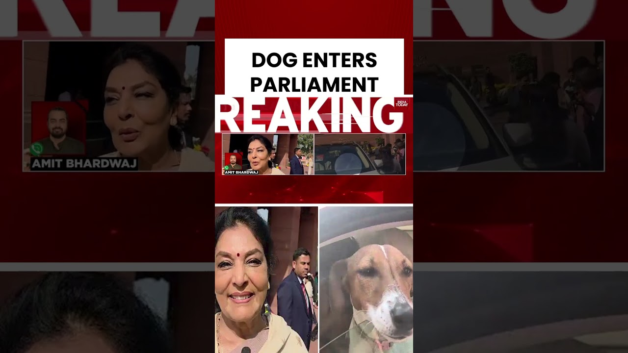 Congress MP Faces Privilege Notice After Dog Enters Parliament; Remarks Trigger Uproar #parliament