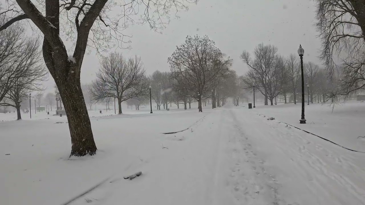 A very snowy walk around Boston Common during Winter Storm Fern!