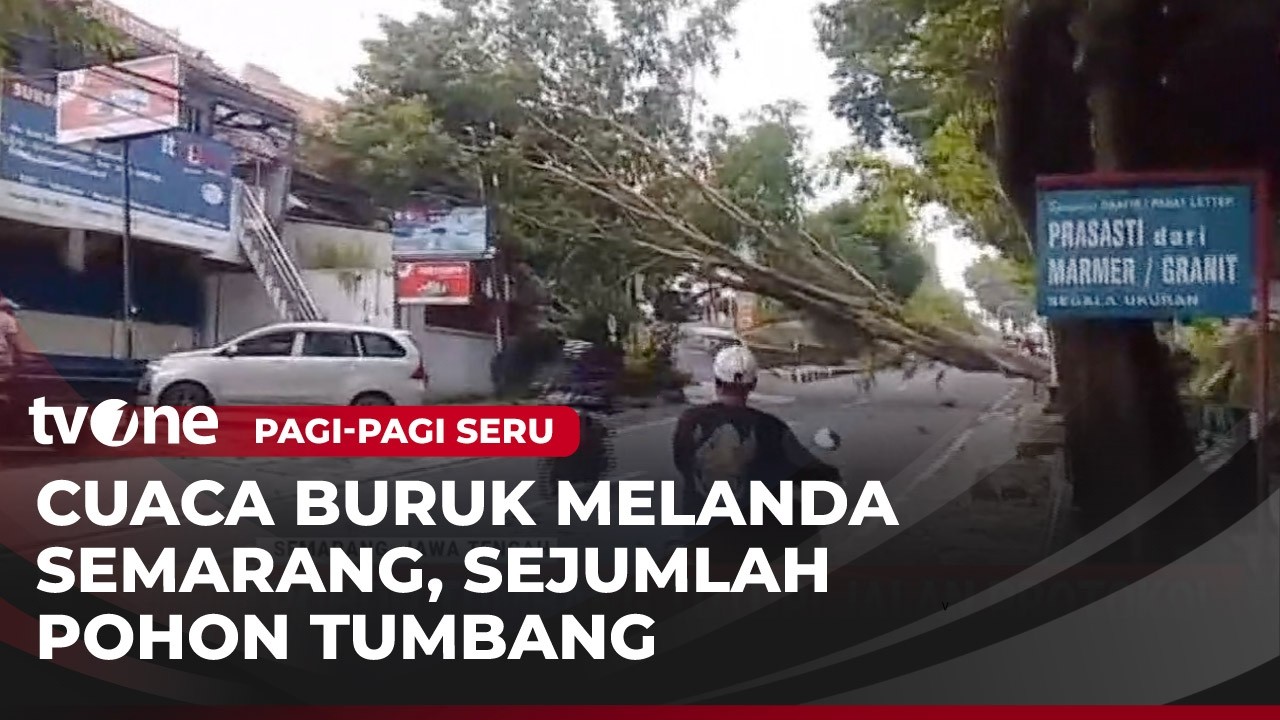 Semarang Diterpa Cuaca Buruk, Pohon-pohon Bertumbangan | Pagi-Pagi Seru tvOne