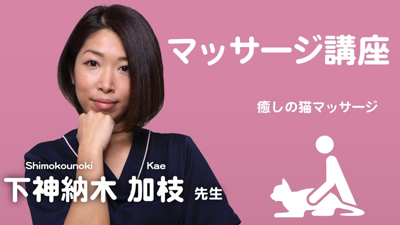 愛猫ちゃんに「癒しのマッサージ」講座【サンプル】