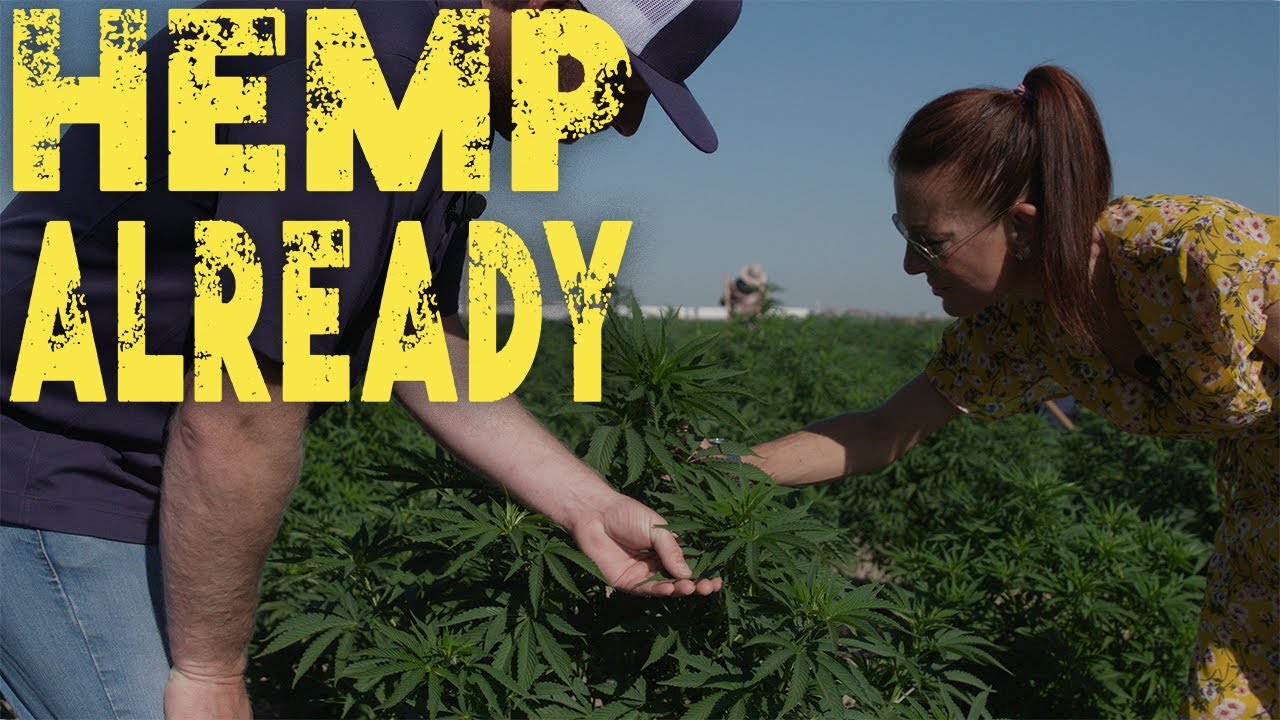 Making Hemp Paper with TINY e PAPER CO - HEMP ALREADY Ep 1