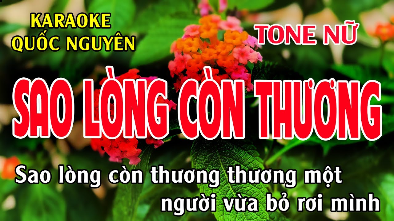 Karaoke Sao Lòng Còn Thương | Tone Nữ Dm | Beat Nhạc Sống Dễ Hát | Quốc Nguyên