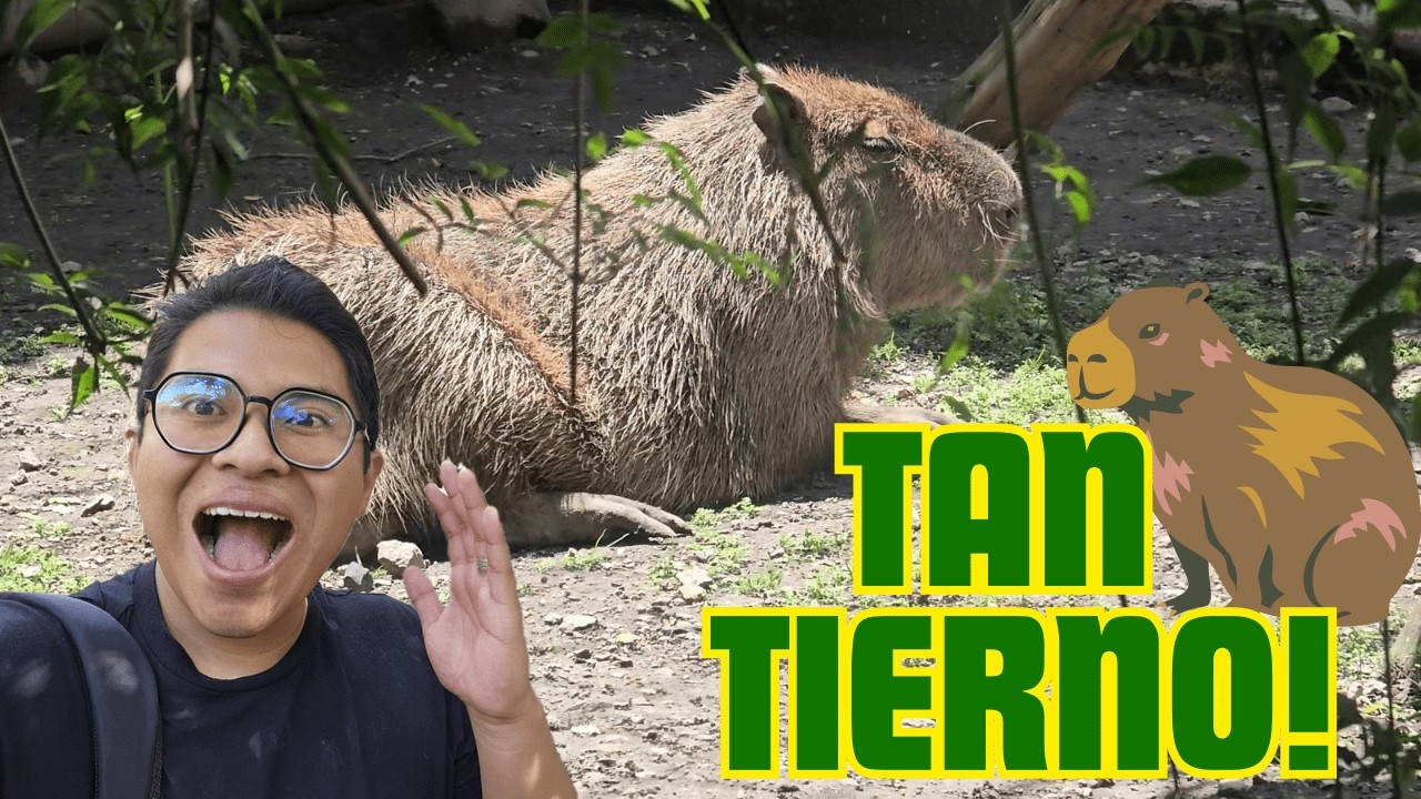 ¡Conocí al CAPIBARA de Chapultepec por primera vez y me ENAMORÉ! 😍🐹