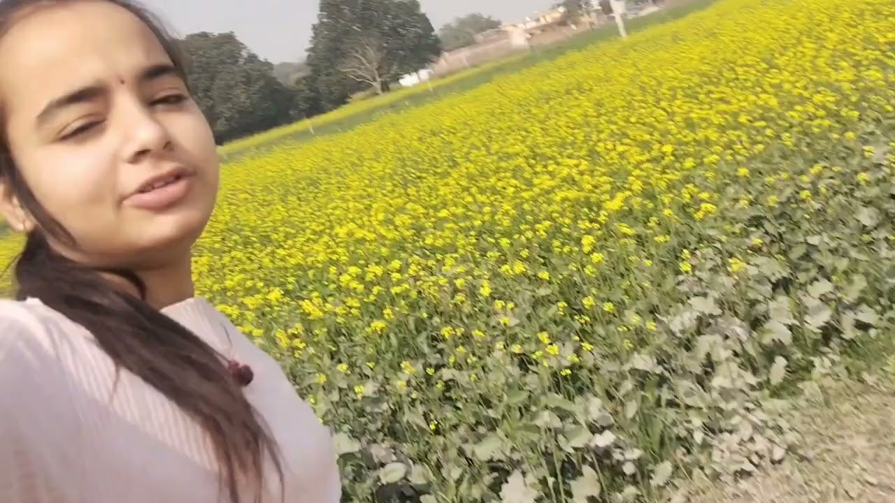 Happy makar Sankranti ❤️#teadingshort #minivlog #makarsankranti #vlog 