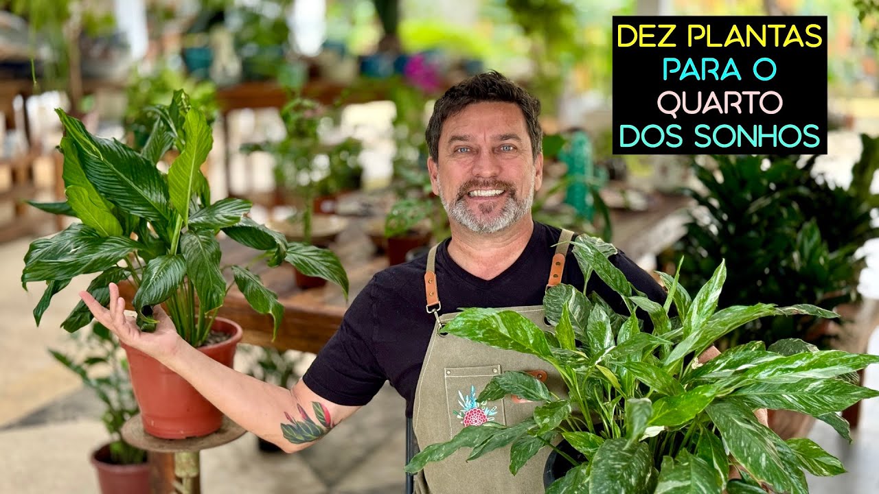DEZ PLANTAS Para o Quarto DOS SONHOS
