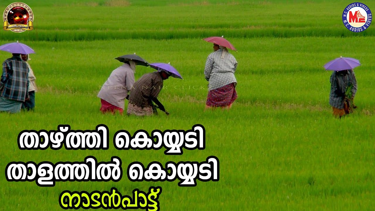 താഴ്ത്തി കൊയ്യടി താളത്തിൽ കൊയ്യടി | Nadanpattukal Malayalam | Folk Songs |