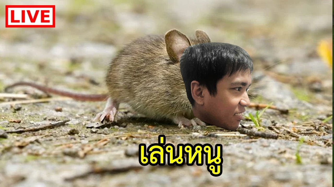 สมาธิ ราชา Twich มาล่ะ
