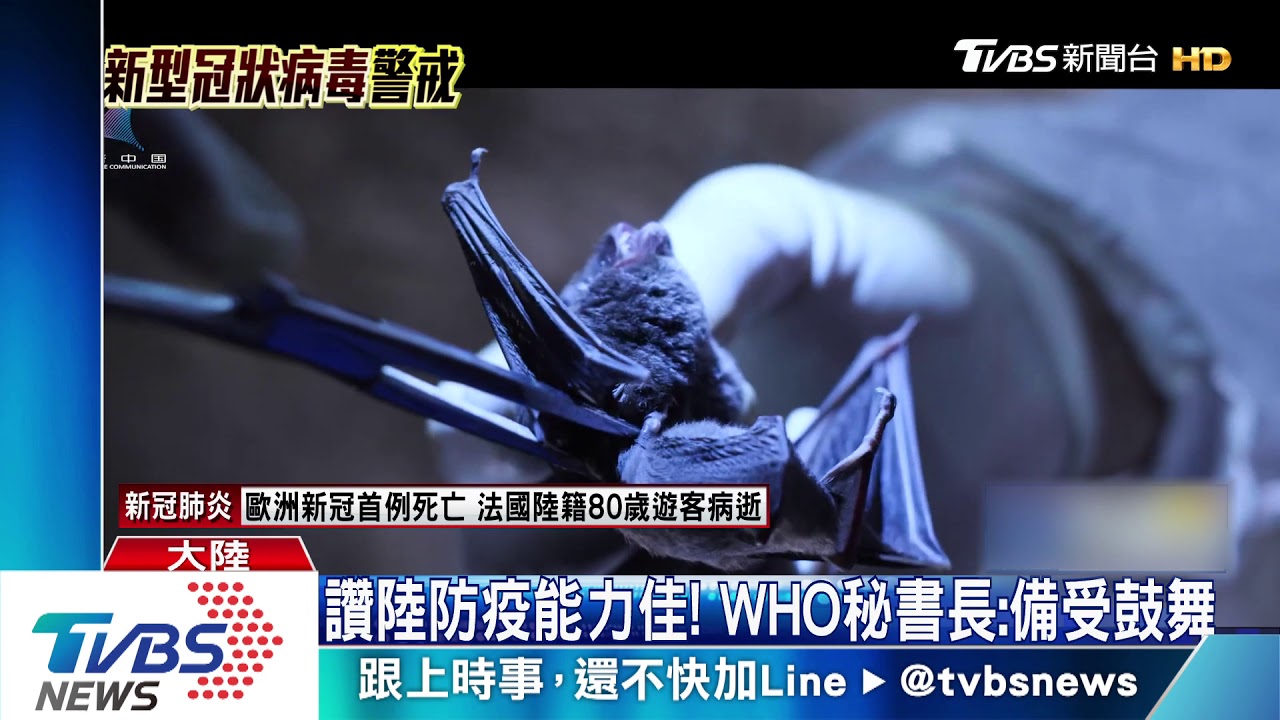華南市場旁有蝙蝠實驗室　陸學者：疑病毒洩漏