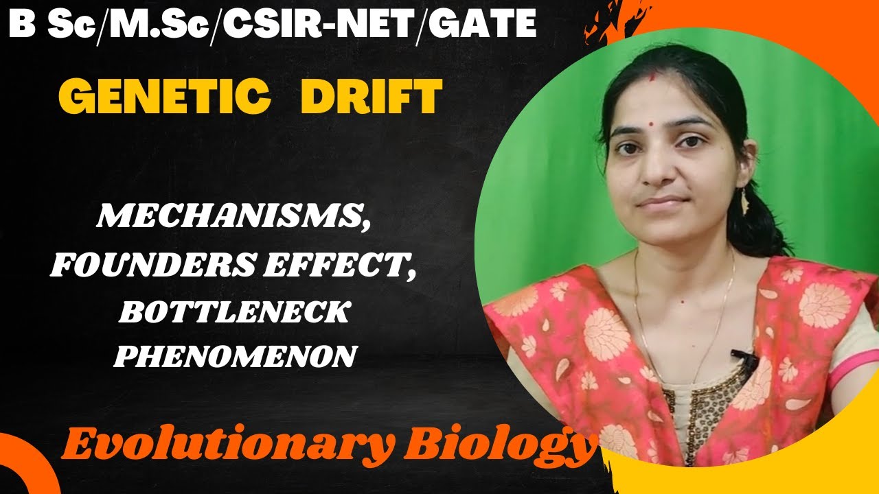 Genetic Drift B.Sc 3rd year||Mechanism||Founder Effect||Bottleneck phenomenon||#evolution