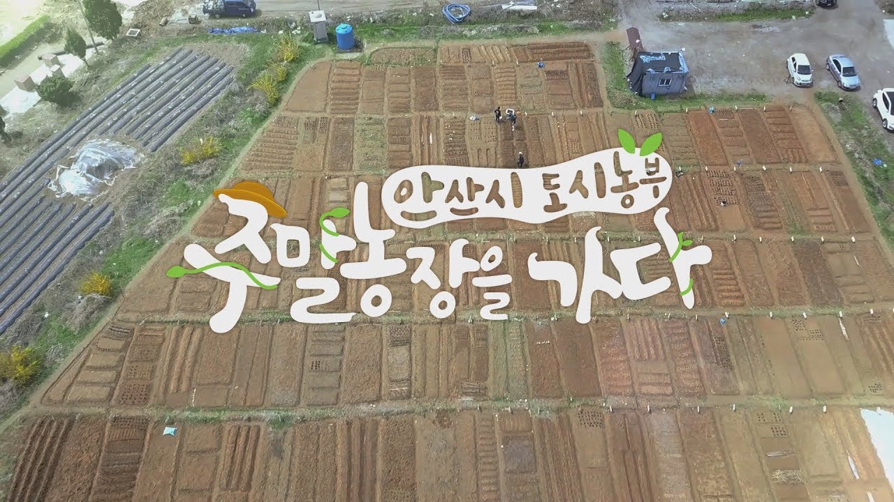 안산시 도시농부 주말농장을 가다!!