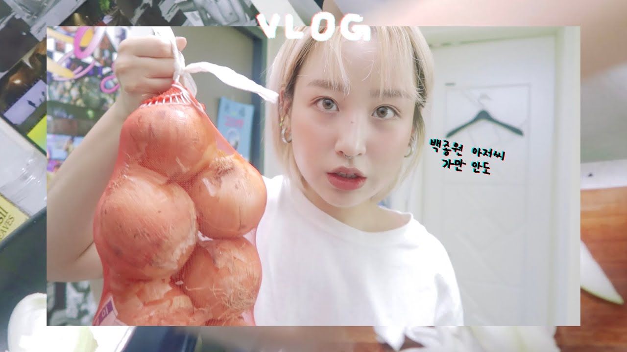 네버엔딩 먹방🦴 진진의 여름 사료 2019