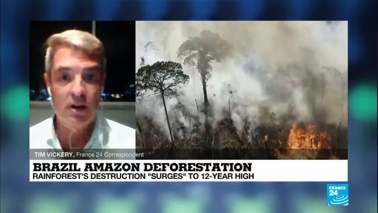 Amazon deforestation surges to 12-year high, drawing condemnation of Bolsonaro