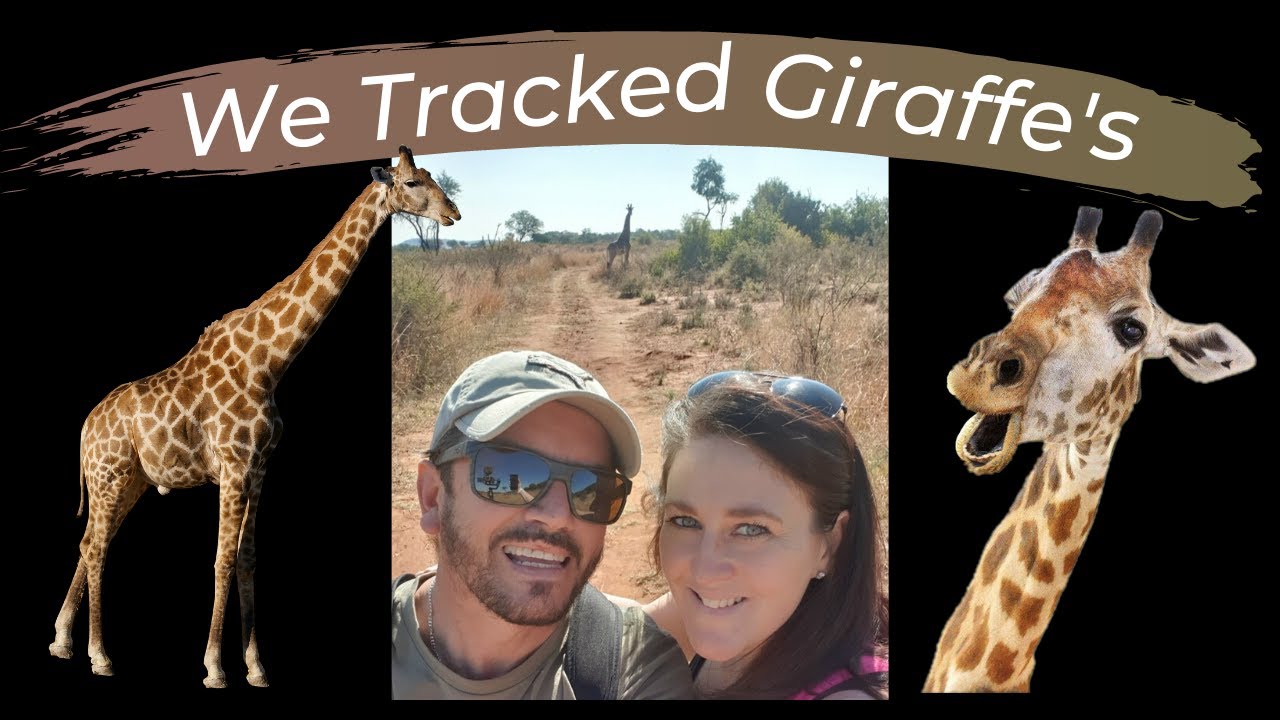 BEST WILDLIFE HIKE IN SOUTH AFRICA ? || Windy brow hiking trail || Tracking Giraffe's