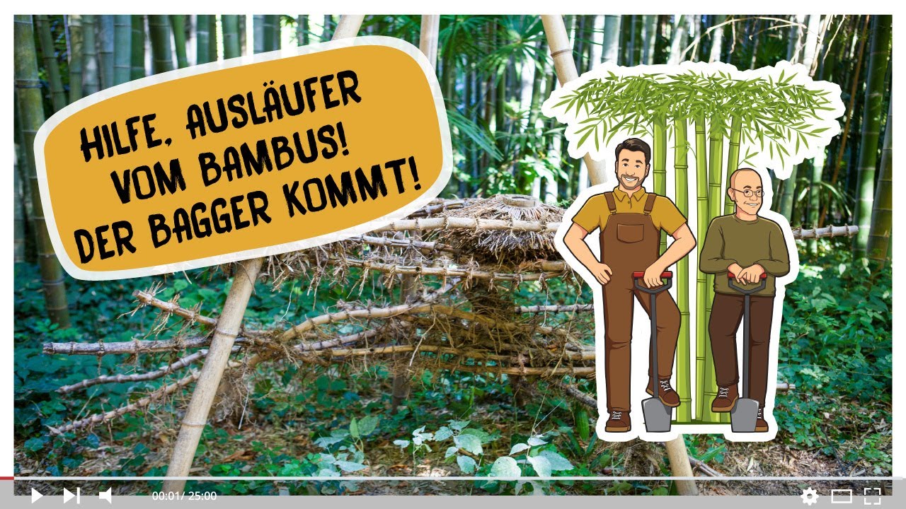 Hilfe, Ausläufer vom Bambus! Der Bagger kommt!
