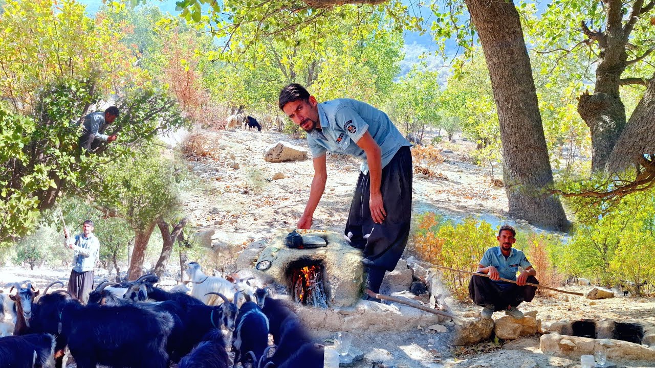 Hassan's Sheep in the Mountains: The Real Life of Iranian Nomads 🌄❤️