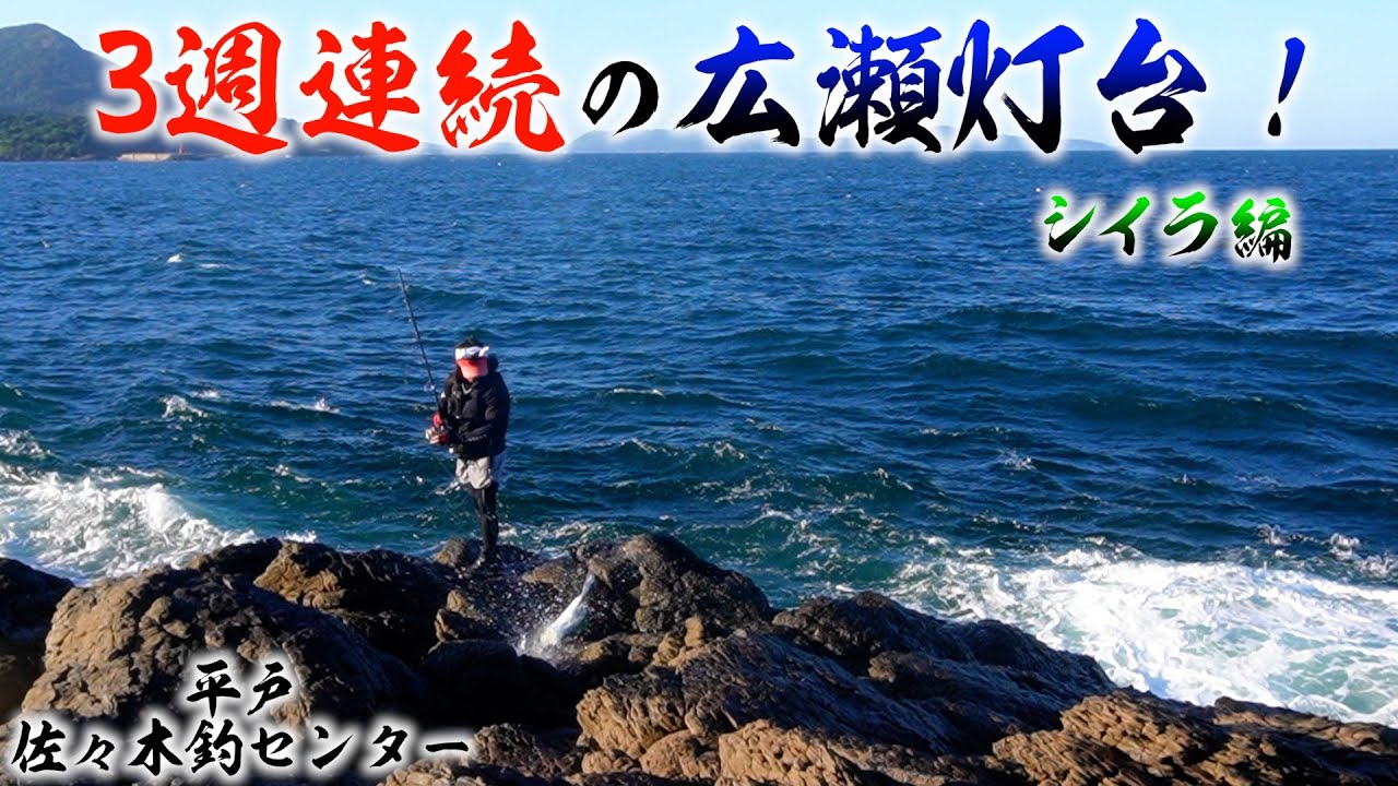 広瀬灯台シイラ最終戦！だが釣れたのはシイラ後輩だった…