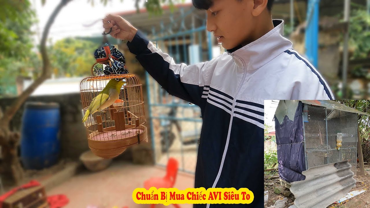 Chia Sẻ Lại Niềm Đam Mê Cho Cậu Học Sinh Và Chuẩn Bị Mua AVI Siêu To // Chiến Ơi