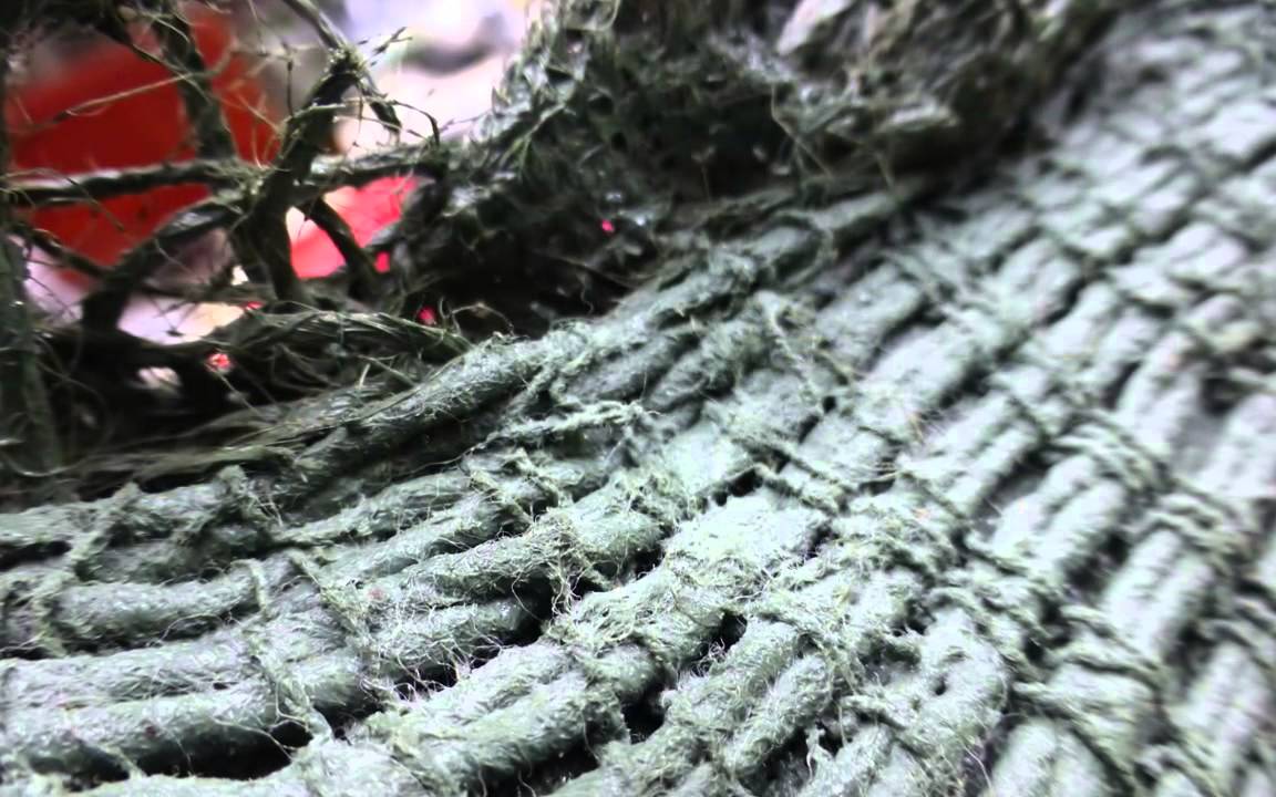 Dragon HD 720p