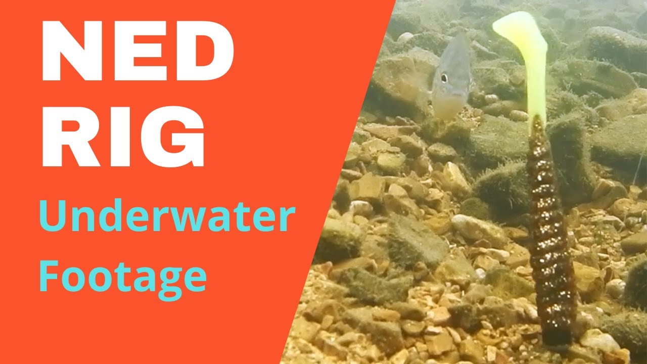 Ned Rig Underwater