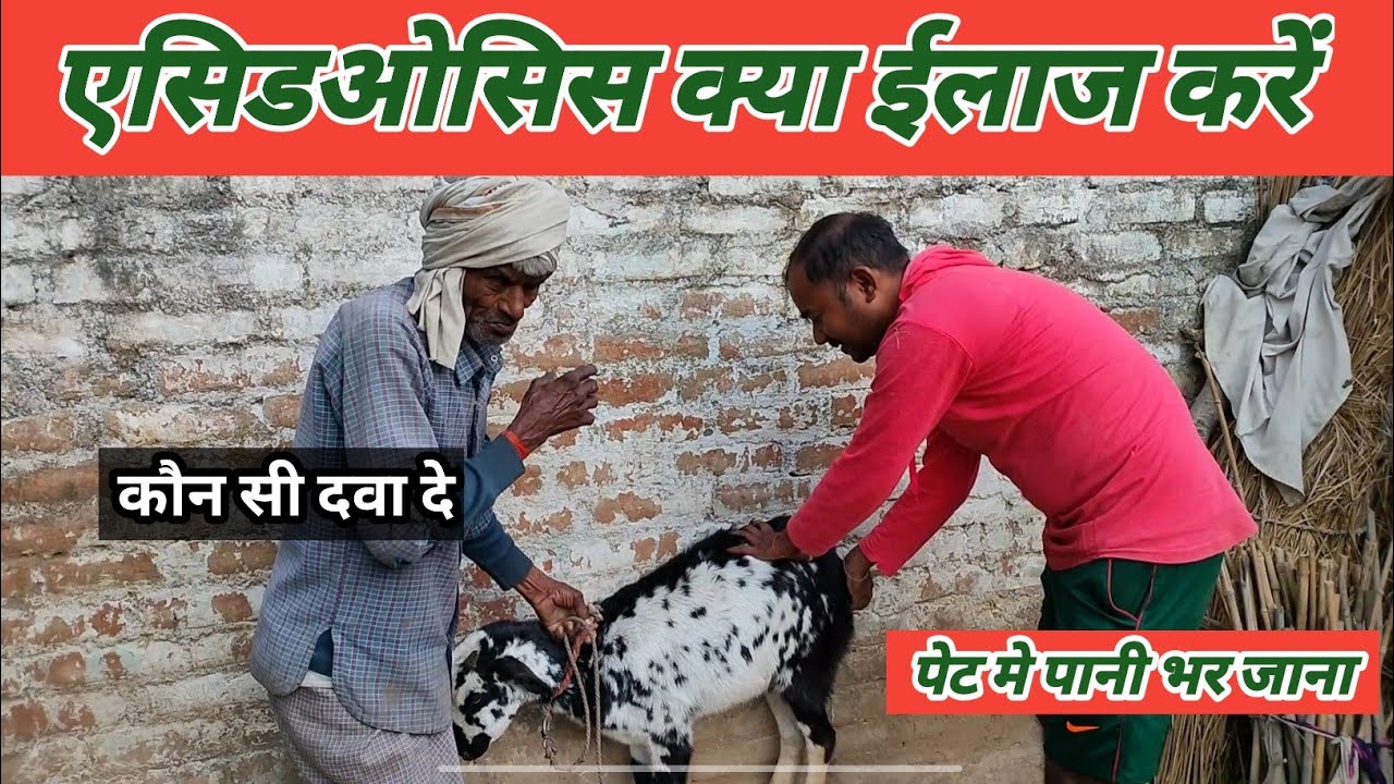 Water was filled in the goat's stomach | Vimal Umrao Training Class