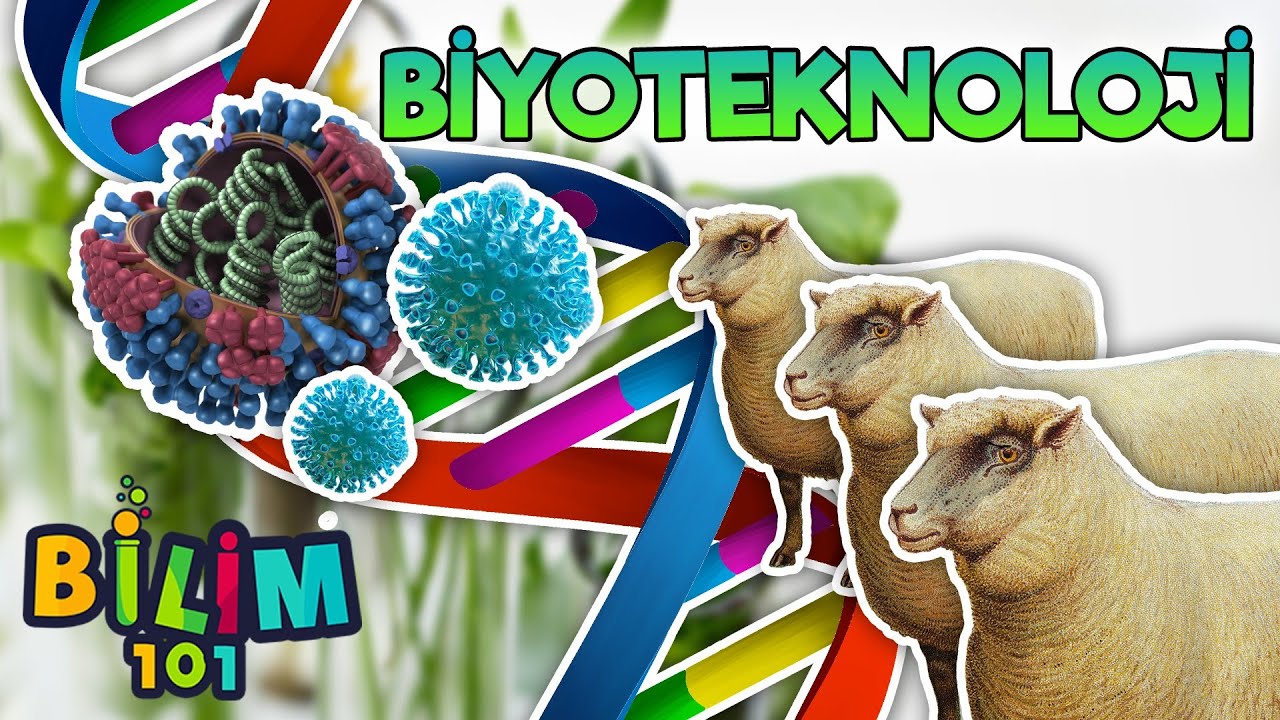 İnsanların Hayatını Kurtaran Biyoteknoloji Nedir?
