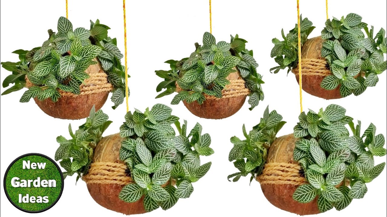 How to Make coconut shell hanging pots//hanging plant pots//vertical garden pots
