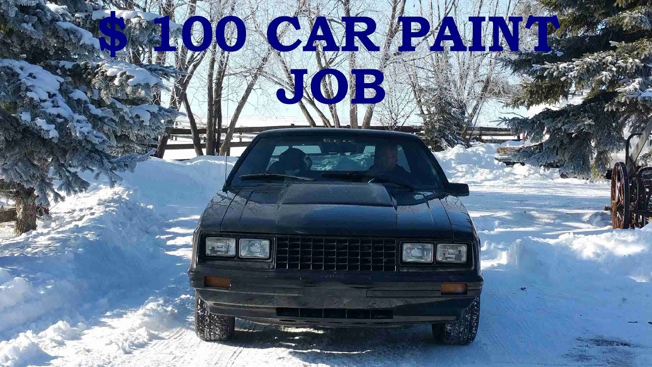Rust-Oleum-Tremclad Car Paint: CAN YOU DO IT?! ($100  Car Paint Job)